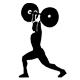 Fitness gears